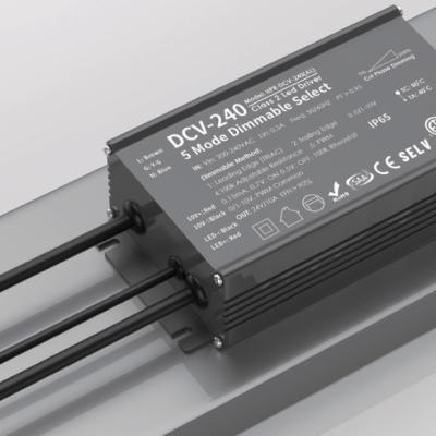 Constant Voltage 240W DALI+PUSH